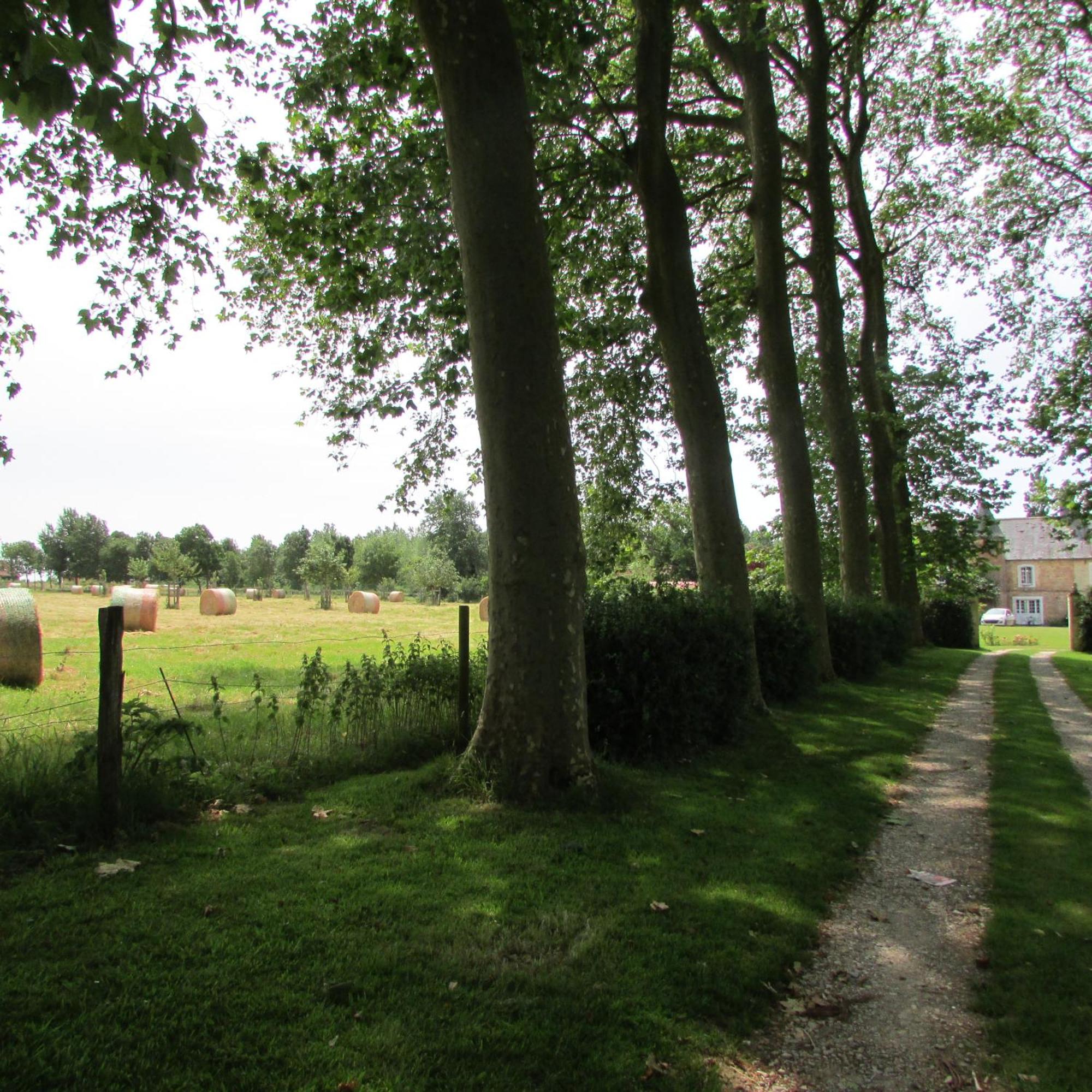 Gite Manoir Les Camps Greslins Questrecques Экстерьер фото
